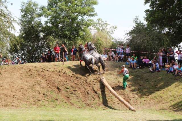 furmanske_preteky2019_13